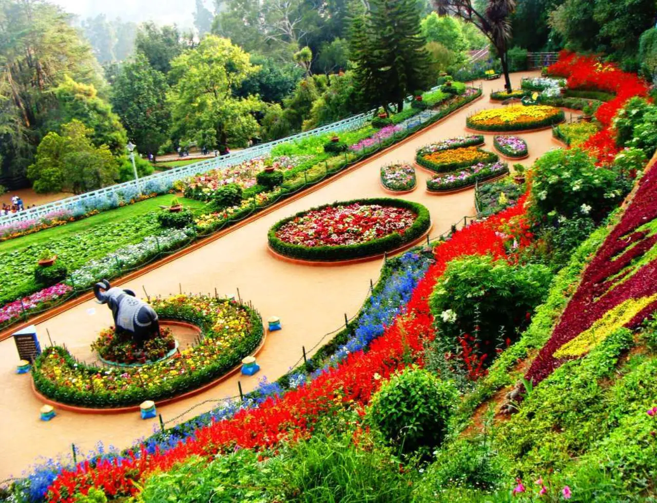 ooty